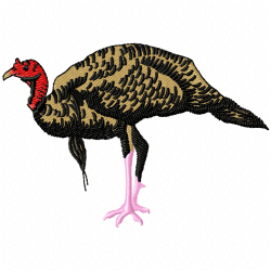 Wild Turkey Bird Embroidery Design 4